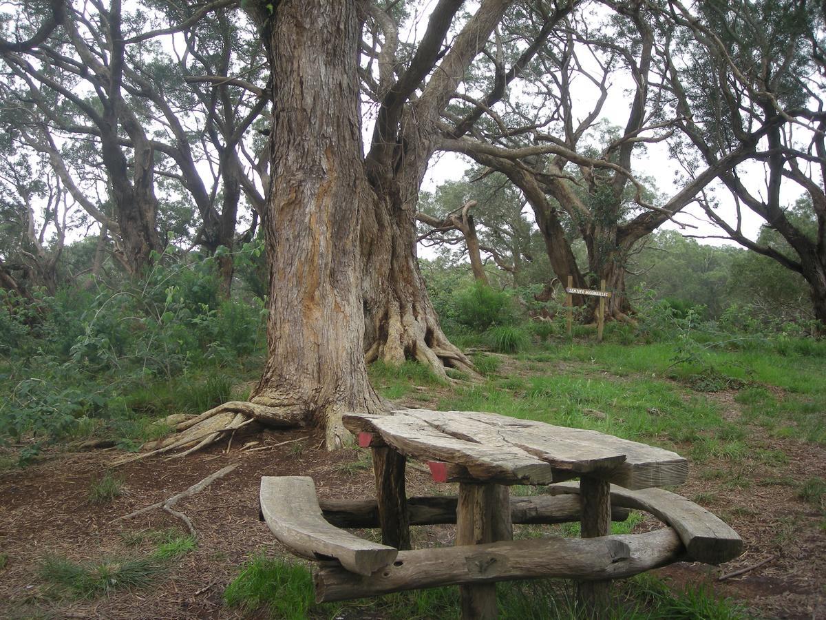 Relais Du Volcan La Plaine des Cafres Exterior foto